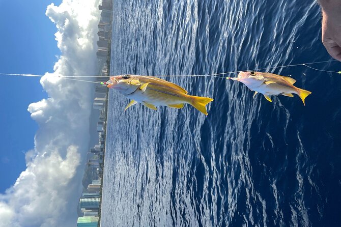 Private Fishing Charter for Family and Friends in Honolulu - The fishing reality check: near-shore fun, not guaranteed giant fish