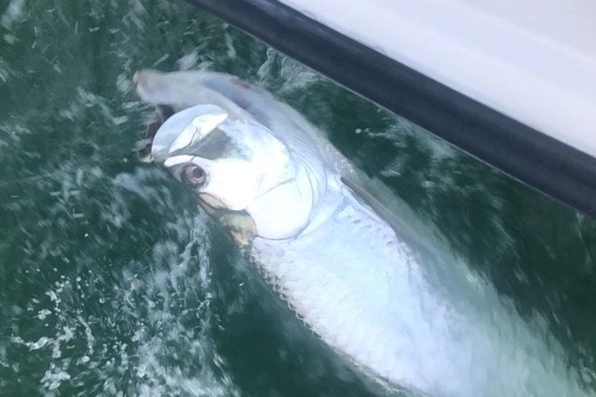 Private Fishing Charter from Ramrod Key - Who This Charter Fits Best (And Who Might Want Something Different)