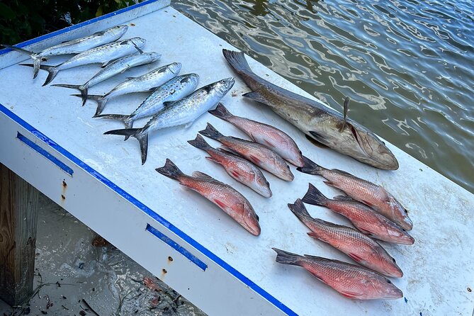 Private Fishing Charter in Tampa - Target Species: Snook, Redfish, Spanish Mackerel, and More
