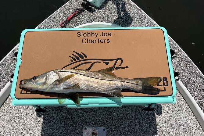 Private Fishing Charter in Tampa - How the 4 Hours Typically Feel on the Water