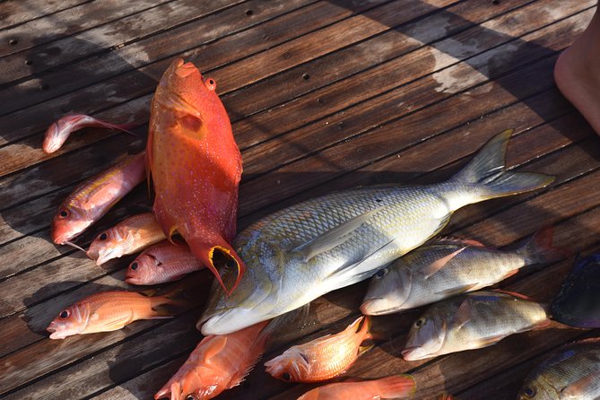 Private Fishing Day Boat With Equipment and Transfer – Hurghada - Lunch onboard: the comfort part you don’t want to skip