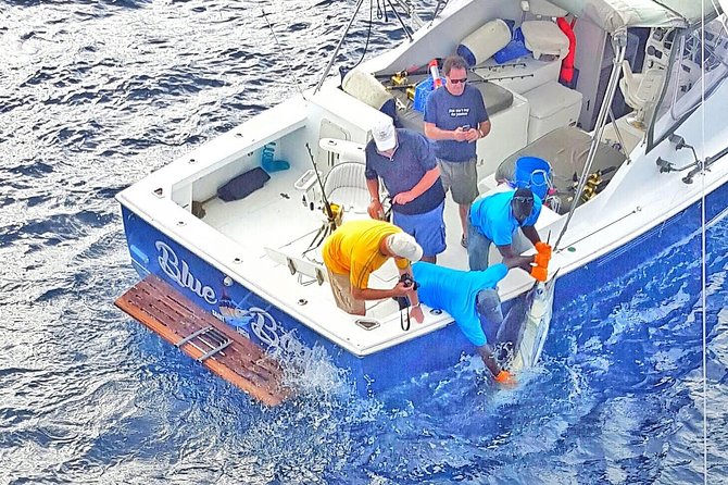 Private Fishing in St Lucia Charters - Private Sport Fishing from Castries: What You’re Really Buying
