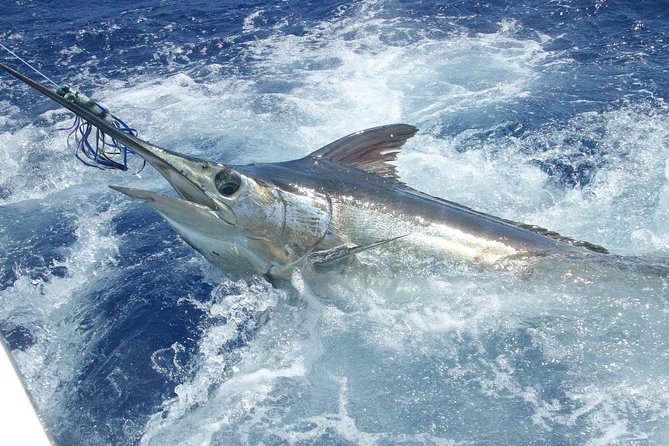 Private Fishing in St Lucia Charters - The Boat and Reel Setup (Shimano, Penn, and Trolling Lures)
