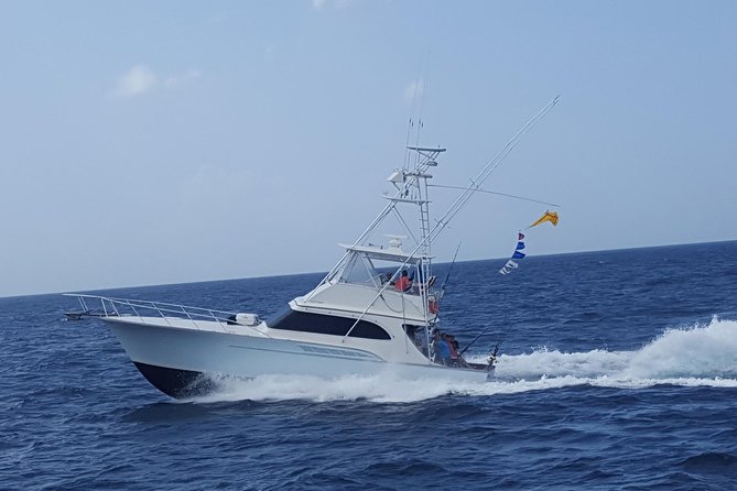 Private Fishing in St Lucia Charters - Target Species in St Lucia Waters: Wahoo, Dorado, Tuna, Sailfish, Blue Marlin