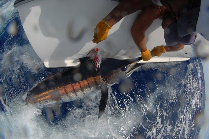 Private Fishing in St Lucia Charters - Snacks, Water, Soft Drinks, and When Beer Enters the Picture