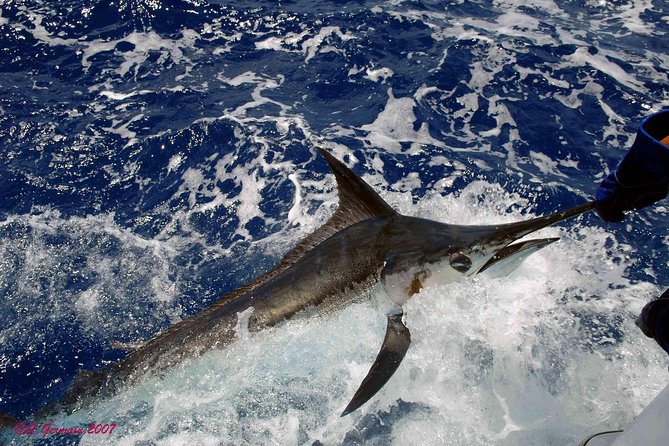 Private Fishing in St Lucia Charters - Crew Energy: Why Captain Jason and Robert Keep Showing Up