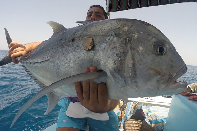 Private Fishing Overnight with Equipment and Dinner - Hurghada - Learn the Local Fish and Wildlife, Then Use It