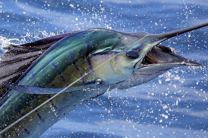 Private Fishing & Snorkel Charters in St Kitts and Nevis - Key highlights to know before you go