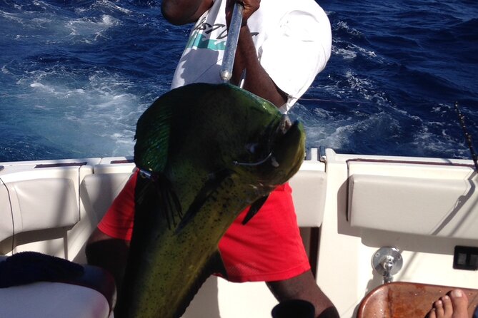 Private Fishing & Snorkel Charters in St Kitts and Nevis - The core plan: 6 hours of trolling, bottom fishing, and a real chance at big sport