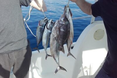 Private fishing tour - Captain Srđan’s approach: techniques you might use by season