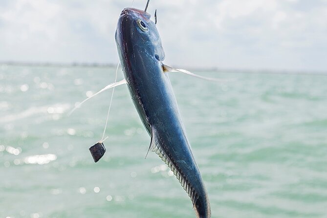 Private Fishing Tour from Isla Holbox (up to 6 pax) - From Dock to First Fishing Spot: Expect Some Transit Time