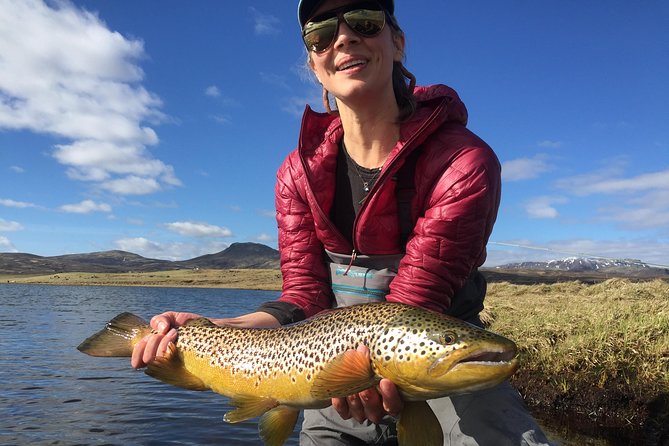 Private Fishing Tour from Reykjavik - Arctic Char and Brown Trout - Fishing Options on Holaa: Upstream Nymphs, Dry Flies, Streamers, and Spin