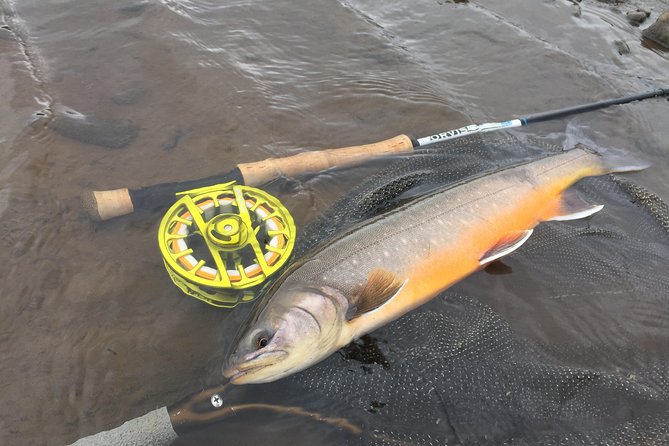 Private Fishing Tour from Reykjavik - Arctic Char and Brown Trout - Food, Drinks, and the Small Stuff That Keeps You Fishing