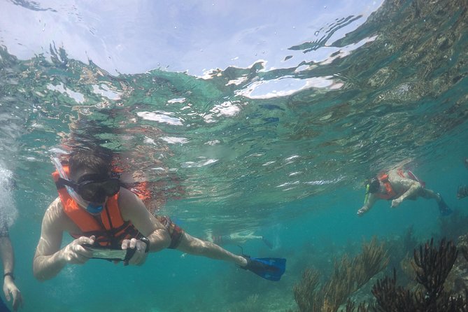 Private Fishing Tour in Yacht Playa del Carmen - Food and Drinks: Cold Drinks, Fresh Snacks, and Sometimes Ceviche