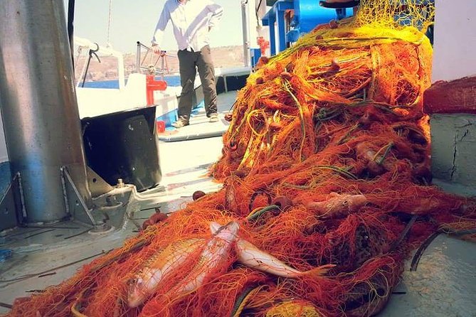 Private Fishing Tour - Morning (transportation included) - The beach-and-water stops: photos, swims, and the “quiet coast” feeling
