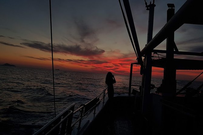 Private Fishing Tour - Sunset (transportation included) - Fishing: Watch, Participate, and Learn the Rhythm