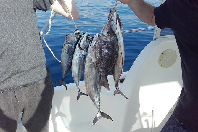 Private fishing tour - Captain Srđan’s approach: techniques you might use by season