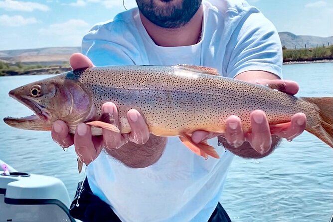 Private Full-Day Fishing Float Tour from Jackson - Snake River vs Green vs Salt: Pick the Fishing Style You Want