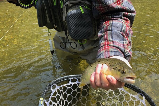 Private Full Day Fly Fishing For Beginners and Experienced Anglers - The Big Choice: Fishing in Yosemite National Park vs. Stanislaus National Forest