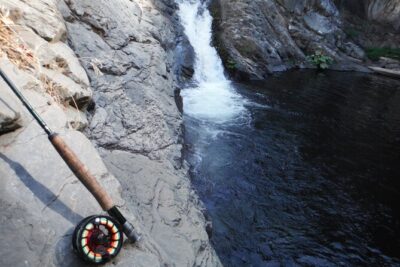 Private Full Day Fly Fishing For Beginners and Experienced Anglers - Pickup Timing From Yosemite Valley and Groveland