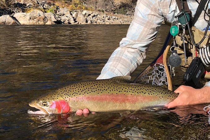 Private Full Day Fly Fishing For Beginners and Experienced Anglers - What You Do On the Water (And What You’ll Learn)
