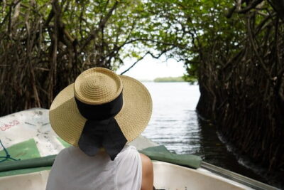 Private Galle Day Tour with River Safari, Stilt fishing & Turtles - Madu River Safari: mangroves, wildlife, and slow boat time