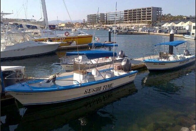 Private Half-Day Sport Fishing in Los Cabos - Route and timing: El Arco, offshore time, and those early harbor sights