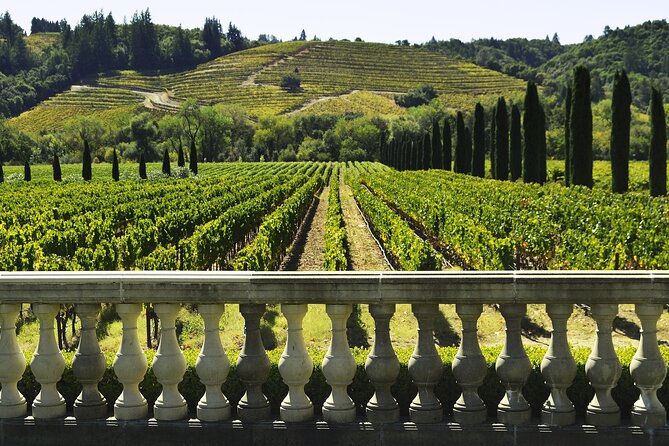 Private Half Day Txakoli Wine Tour & Getaria Fishing Village - Key Things That Make This Tour Work
