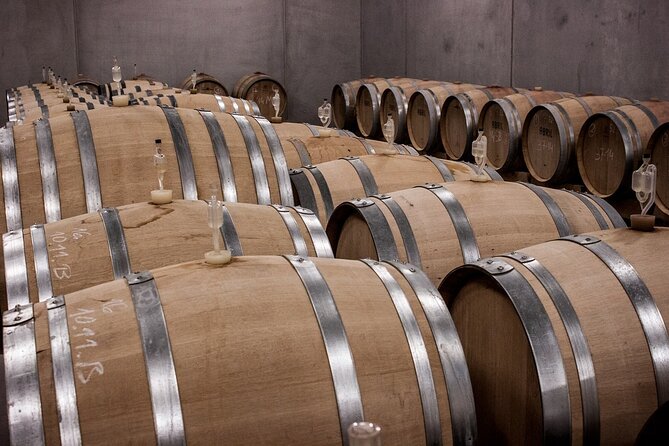 Private Half Day Txakoli Wine Tour & Getaria Fishing Village - Half-Day Private Coast + Txakoli: What You Really Get
