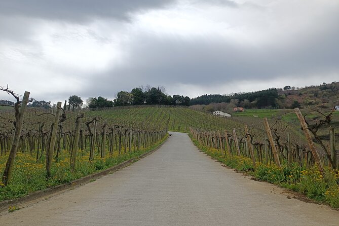 Private Half Day Txakoli Wine Tour & Getaria Fishing Village - Wine, Snacks, and Why This Pairing Works