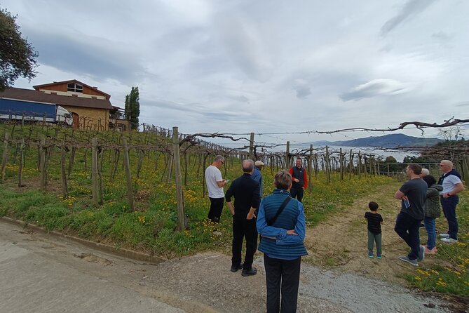 Private Half Day Txakoli Wine Tour & Getaria Fishing Village - Value for $246.05: Paying for a Private Day Done Right