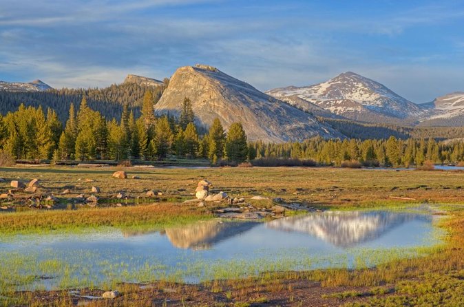 Private High Country Fly Fishing Adventure - Key highlights worth knowing