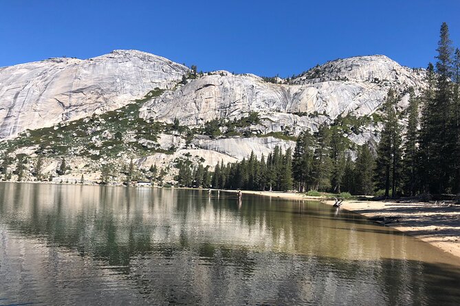 Private High Country Fly Fishing Adventure - Gear and Lunch: Built for Getting Wet (Not Shopping First)