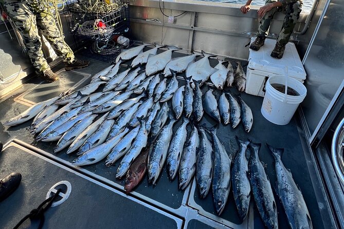 Private Ketchikan Halibut and Salmon Fishing Charter - Captains make the experience: from patient teachers to quiet guides
