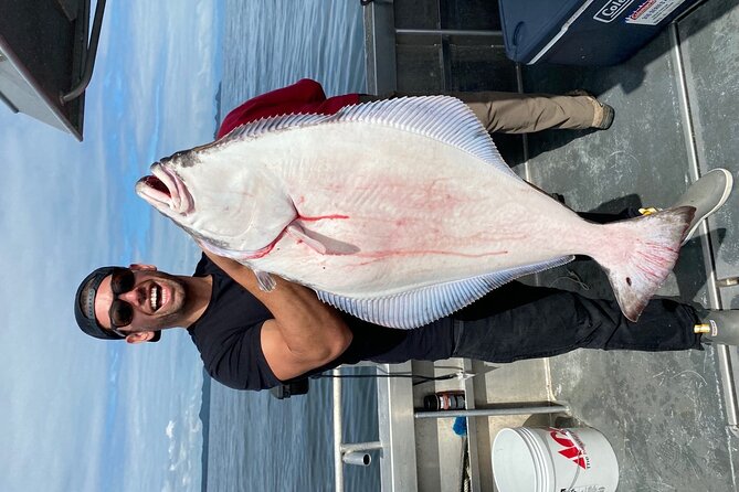 Private Ketchikan Halibut and Salmon Fishing Charter - Wildlife on the way to the fish