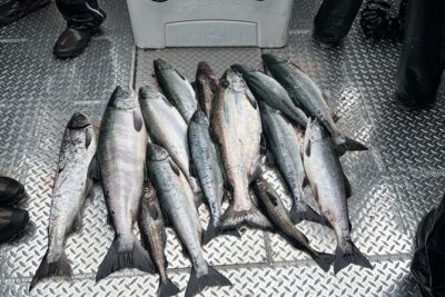 Private Ketchikan Wild Alaskan Salmon Fishing Trip - Meeting at 425 Water St: the start matters more than you think