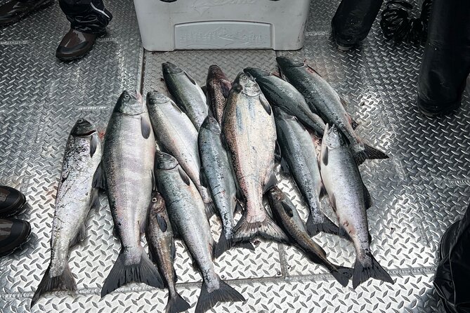Private Ketchikan Wild Alaskan Salmon Fishing Trip - Meeting at 425 Water St: the start matters more than you think