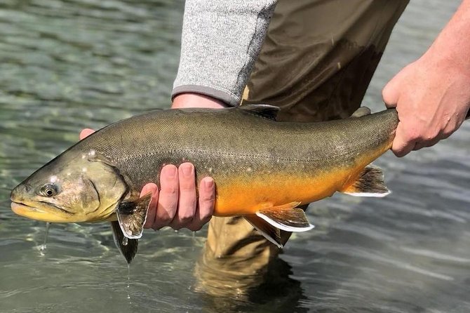 Private Lake and River Fishing Tour from Reykjavik - Five Hours on the Water: What Your Guide Actually Improves