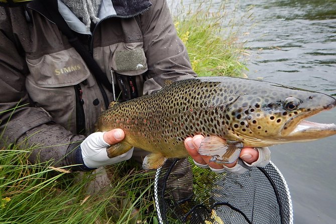 Private Lake and River Fishing Tour from Reykjavik - Who This Tour Suits Best (and Who Might Want a Different Plan)