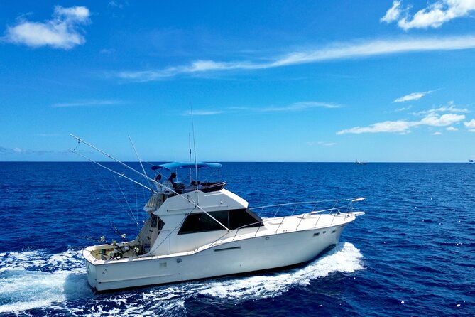 Private Luxury Sportfishing Experience Aboard Limitless - Fishing reality check: why some days feel like a cruise