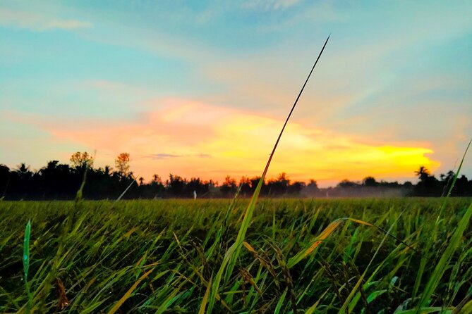 PRIVATE Mekong Delta 1 Day with Kayaking, Biking & Cooking - Why This Private Mekong Day Works Best When You Have Limited Time