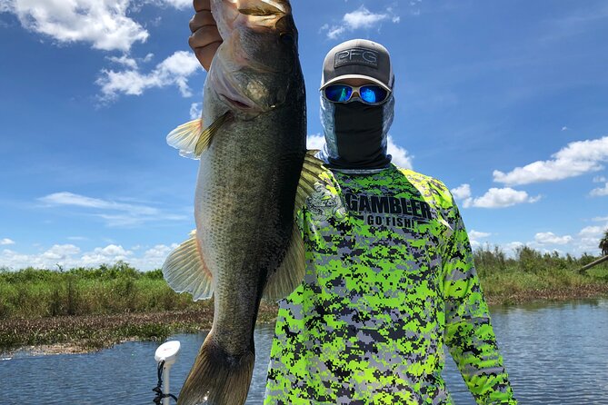 Private Pontoon Fishing Charter on Lake Tohopekaliga in FL - Eagles Overhead and Alligators Nearby: Wildlife Without the Pressure