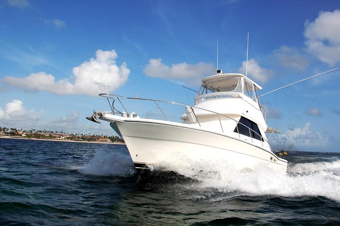 Private Punta Cana Six Hour Fishing Charter - Big Marlin Charters in Punta Cana: Who This 6-Hour Charter Fits Best