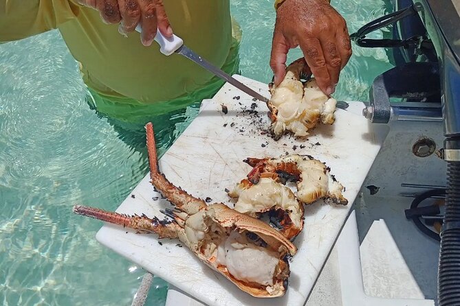 Private Snorkeling And Fishing Activity - Fishing Options That Match Your Comfort Level