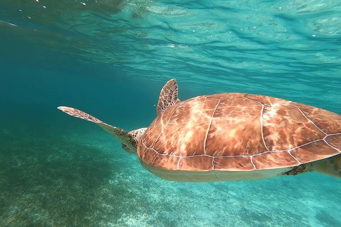 Private Snorkeling or Fishing in Nassau - 55ft Cocorijo - Rose Island and Footprints: worth it when your schedule allows