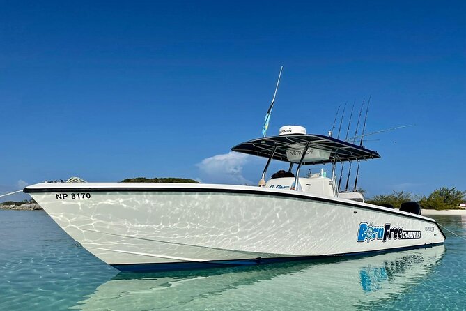 Private Speed Boat for Snorkeling or Fishing in Nassau - 34ft - Key things to know before you book