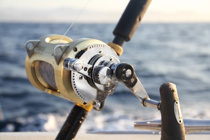 Private Sport Fishing Charter Experience in Cabo San Lucas (5 Hours) - Who will love this charter most (and who might want a different style)
