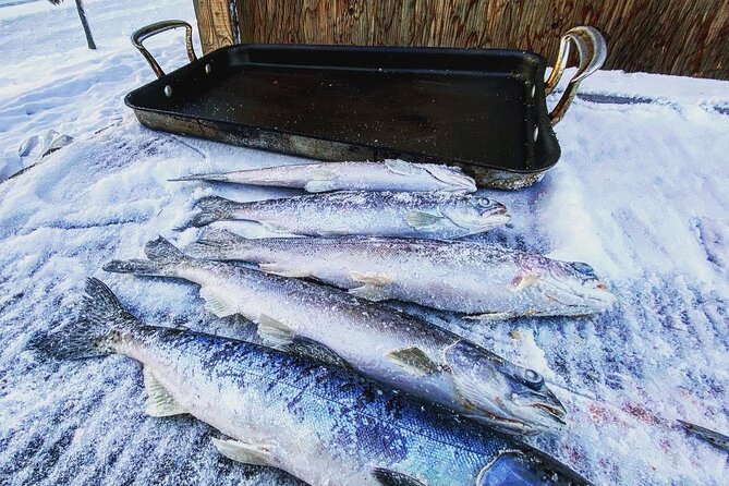 Quick and Easy Ice Fishing at Chena Lake - Who this trip fits best (and who might not love it)