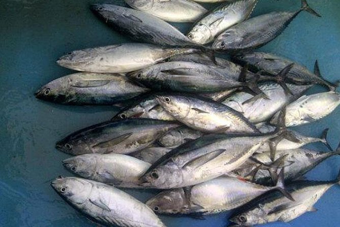 Racha Island Game Fishing & Trolling From Phuket - Boat comfort and group size: small can be good, small can be tough