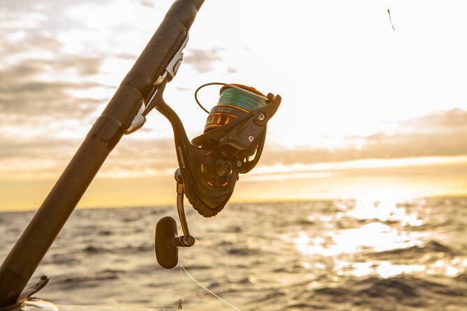 Reef Fishing Experience from Portimao - Key highlights at a glance